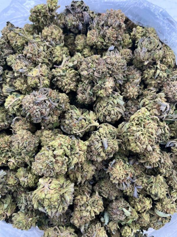 Rain Drop Strain