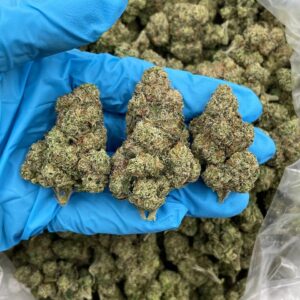 Strawberry Crush Strain