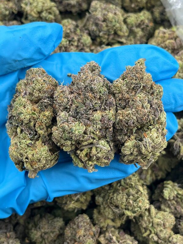 Strawbubble Zkittlez Strain