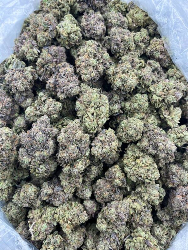 Strawbubble Zkittlez Strain