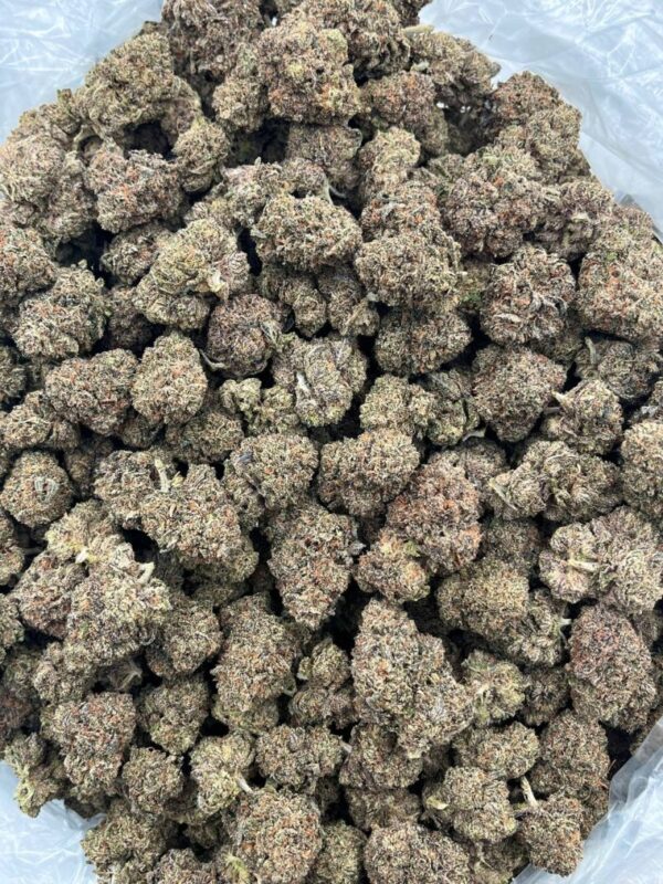 Watermelon Wave Strain