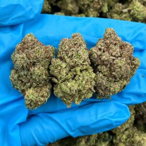 Gobstopper Glue strain