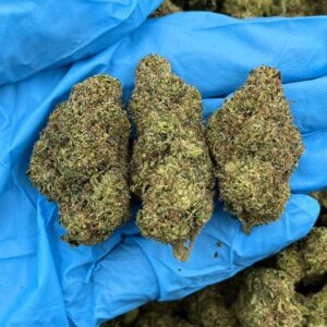 Green Twister Strain