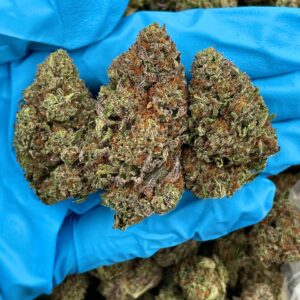 Jawbreaker Jet Fuel strain