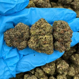 Mochi Dreamscape strain