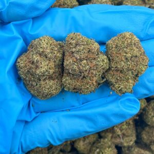 Princess Peach strain