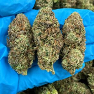 Sweet Tart Lemonade strain