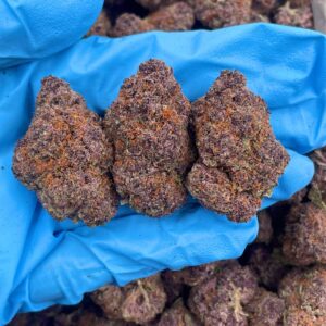 Tropicana Starburst strain