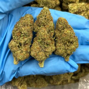 Agent Zkittlez strain