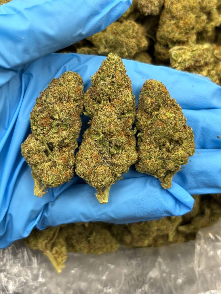 Home Agent Zkittlez strain