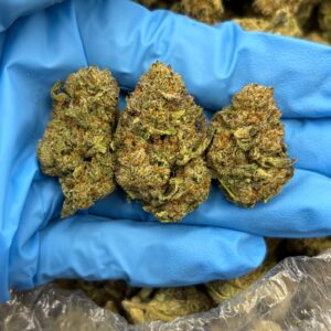 Black Berry Sherbert strain