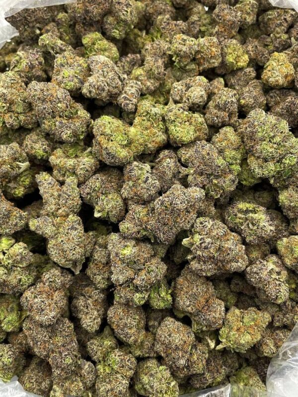 Candyland strain