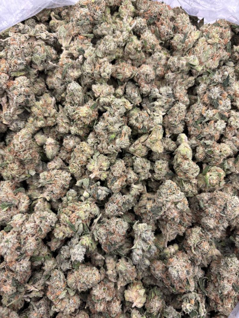 GREEN MACHINE - LB723KM - Image 2