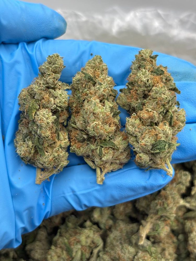 Green Machine strain