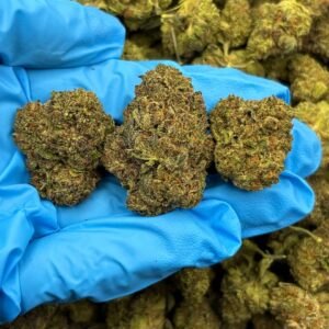 Mochilato strain