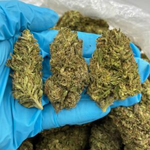 Banana Cookie strain
