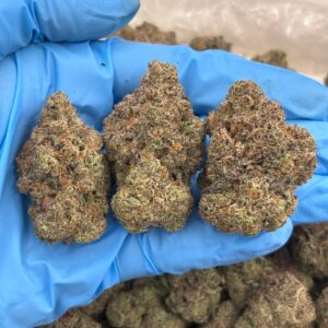 Blue Zkittles Strain
