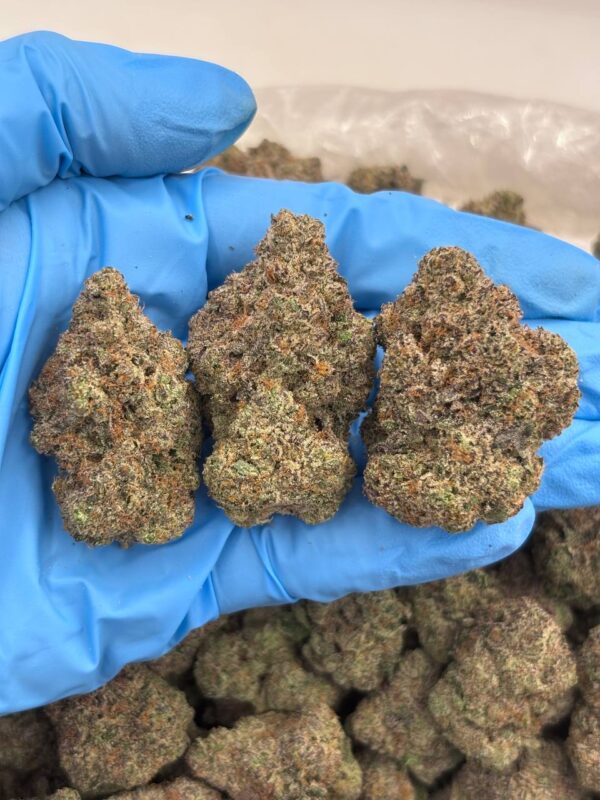 Blue Zkittles Strain