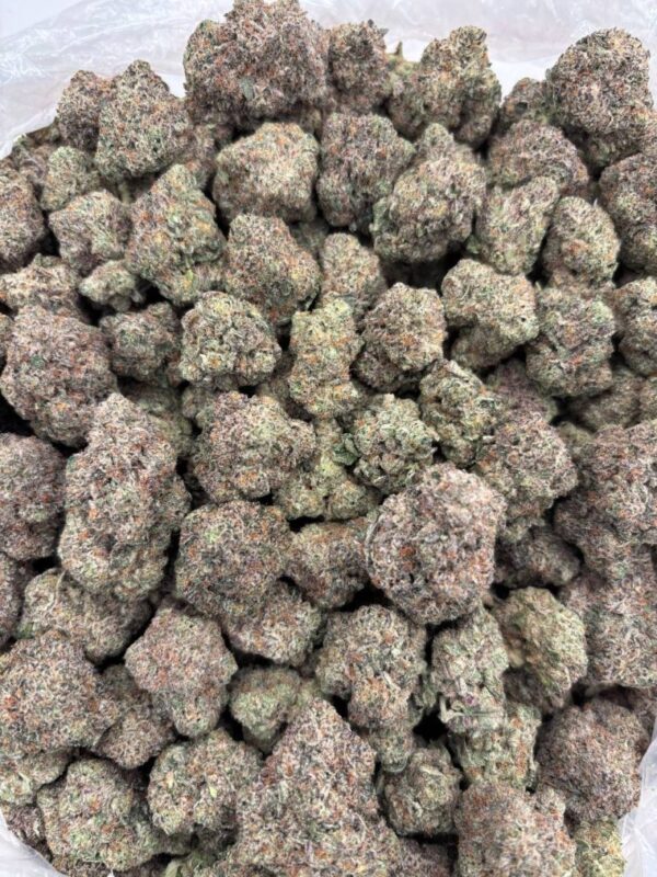 BLUE ZKITTLES - EG918BS - Image 2