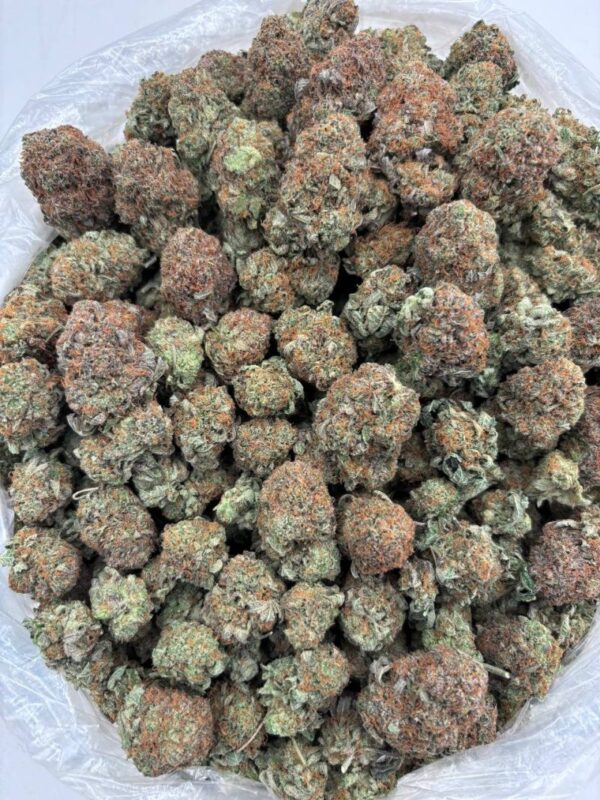 BUBBA KUSH - JL922BK - Image 3