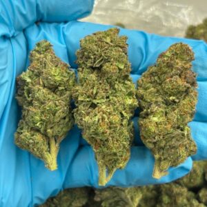 Green Apple Slushie strain