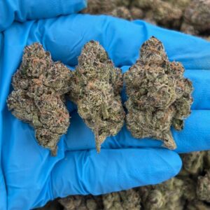 Jolly Rancher strain