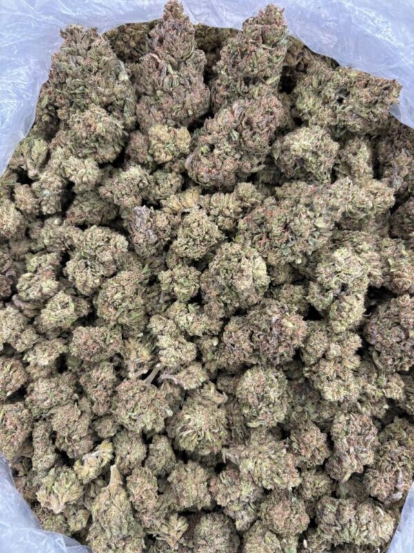 MINT CHOCO KUSH - LM828GO - Image 3