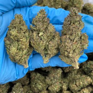 Pineapple Candy strain