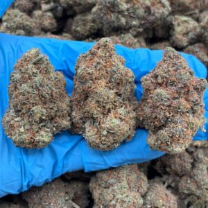 Wintermint Breath strain