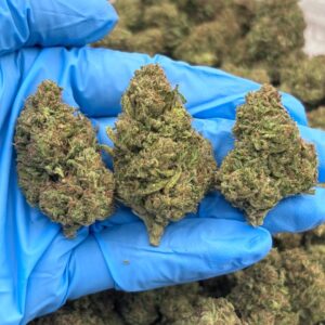 Berry Stardust strain