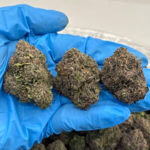 Blackcherry Gumbo Strain