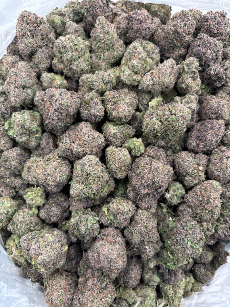 BLACKCHERRY GUMBO - HB1007GB - Image 2