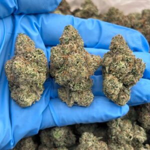 BLUE NECTAR - WBE1016BN