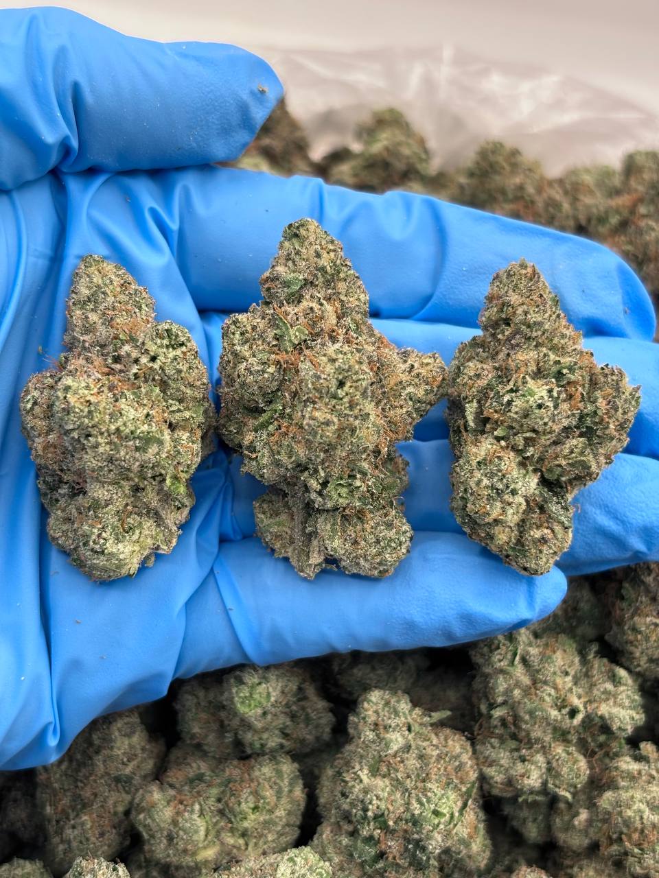 BLUE NECTAR - WBE1016BN