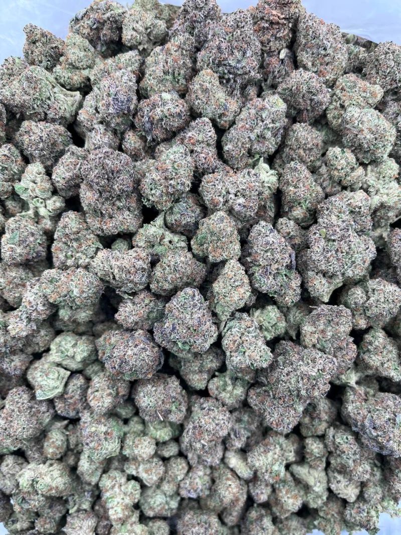 BLUEBERRY MUFFIN - AL1021WT - Image 2