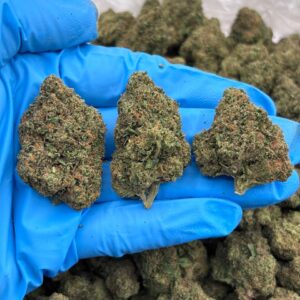 Candy Cane Runtz Strain