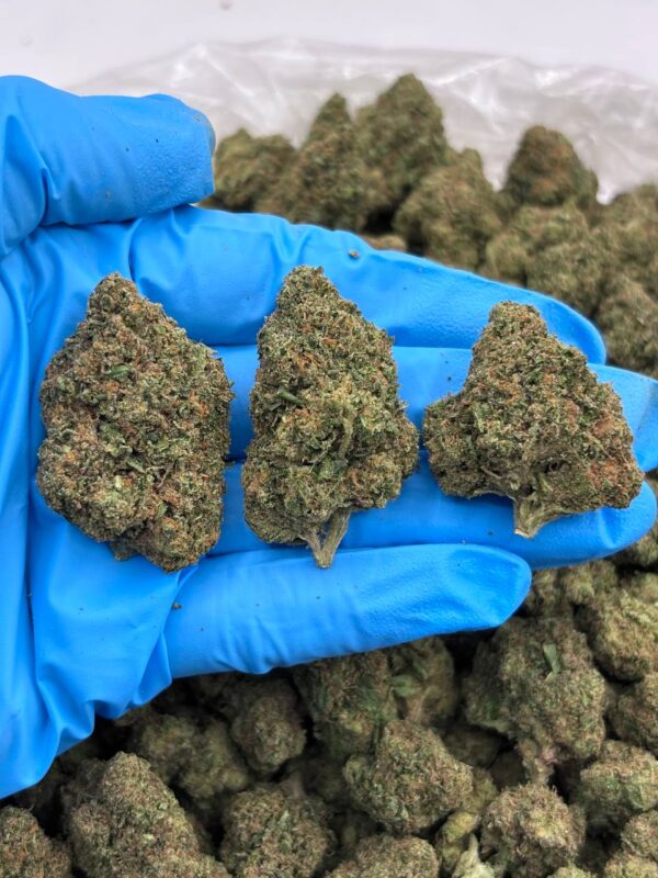 Candy Cane Runtz Strain