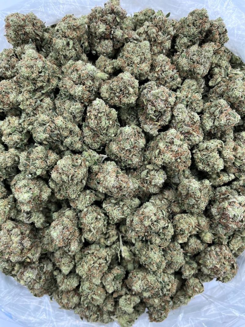 CHEMLATO - SO1029CL - Image 2