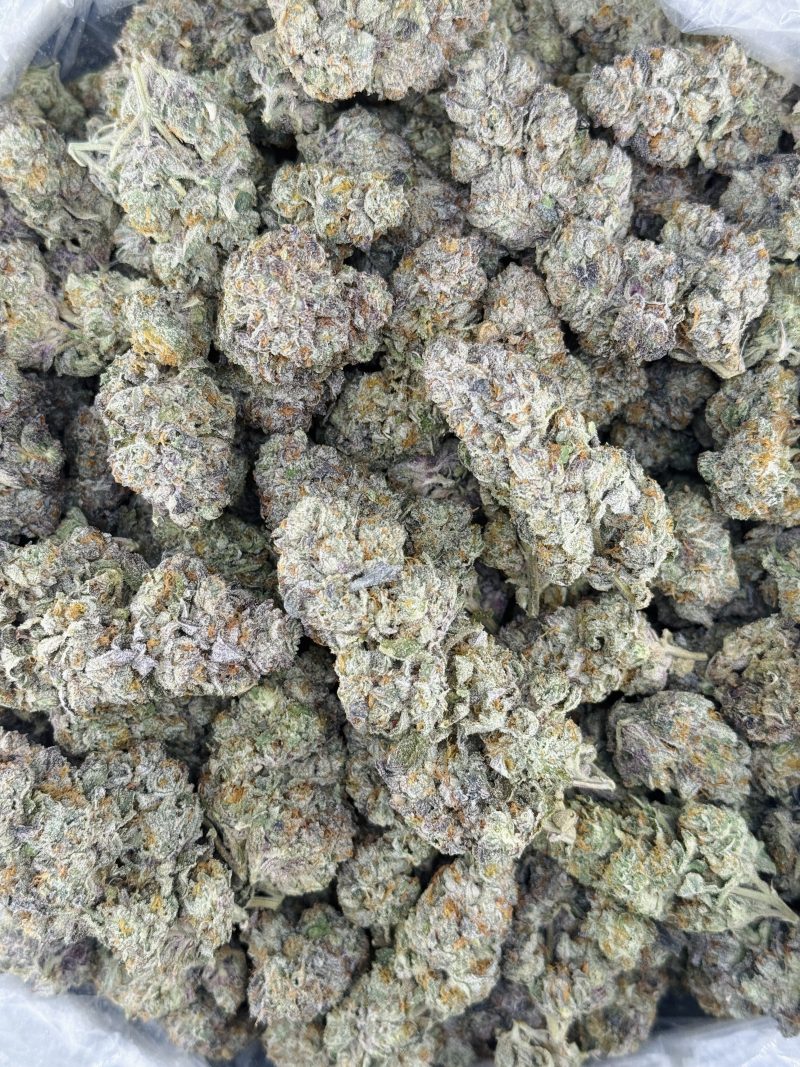 Gelato Sourbeltz Strain