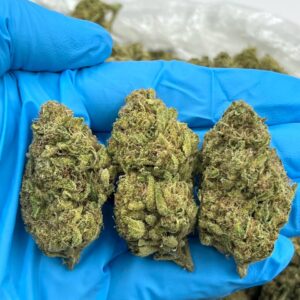 LEMON BISCOTTI - LM1009RU