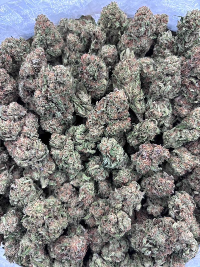 Mendo Punch strain