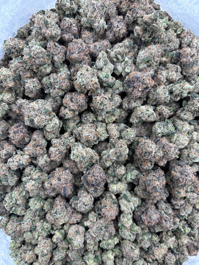 NERD ROPEZ - LK1015R2 - Image 2