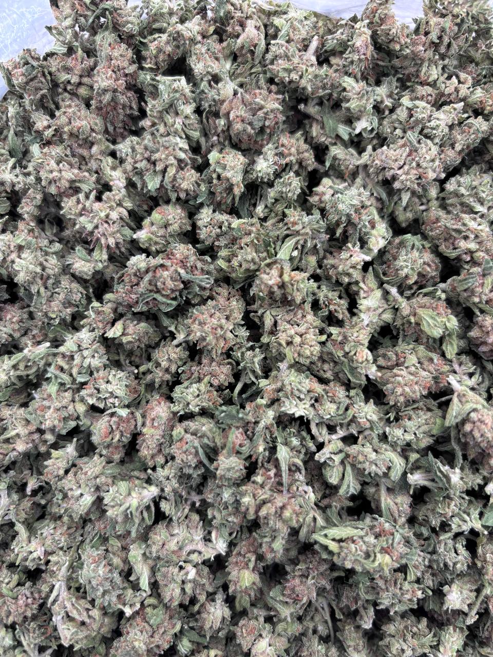 OREO CRUMBLE - SK1009OZ - Image 2