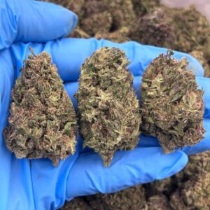 PURPLE COOKIE DOUGH - LM1009PC