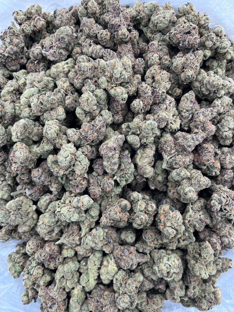 SOUR BELTZ - LK1022LH - Image 3