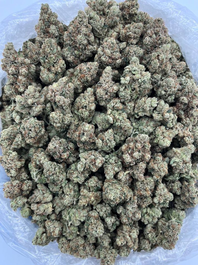 Stardust Diesel strain