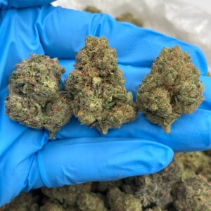 Strawnana Smoothie Strain