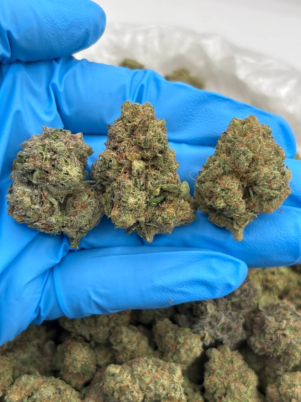 Strawnana Smoothie Strain