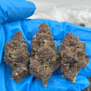 Tropicana Mint Strain