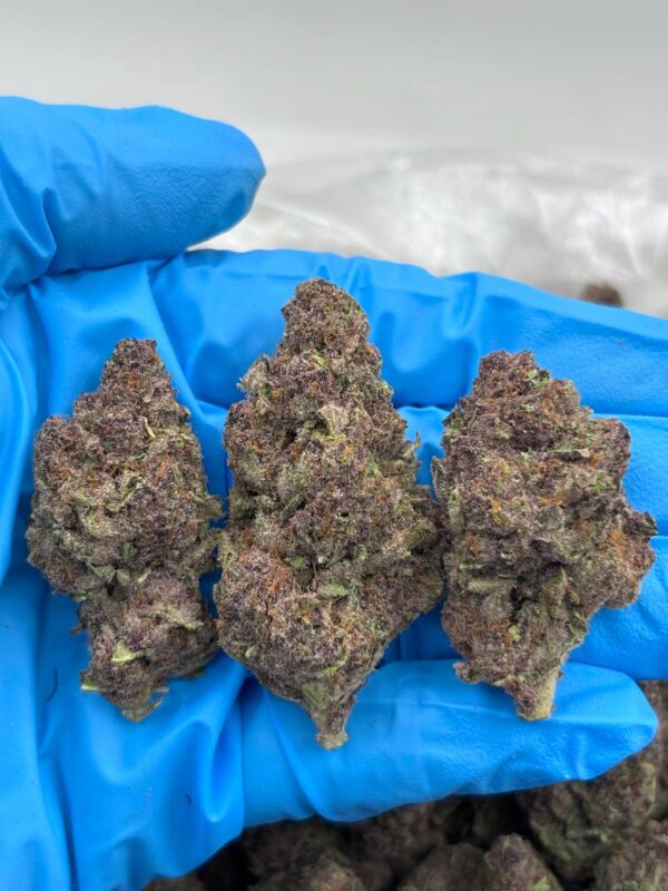 Tropicana Mint Strain